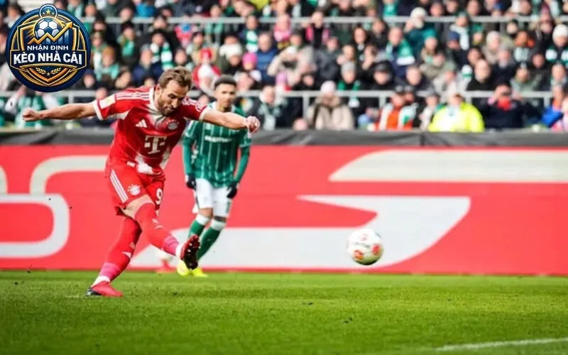 Giới Thiệu nhandinhkeonhacai88